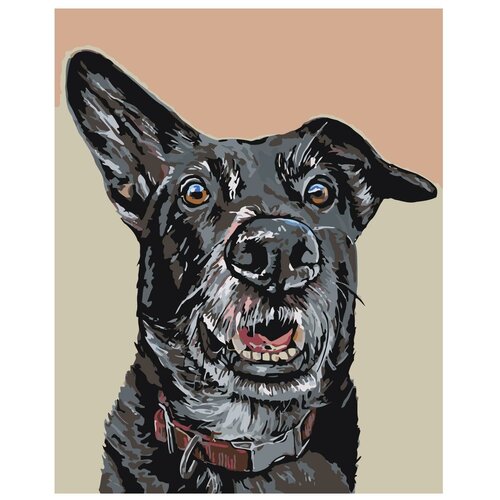 Картина по номерам, Живопись по номерам, 48 x 60, A100, пёс, черный, животное, домашний
