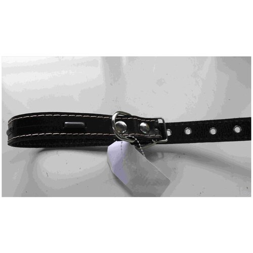 2.25.3.1 Ошейн 25 синт ну