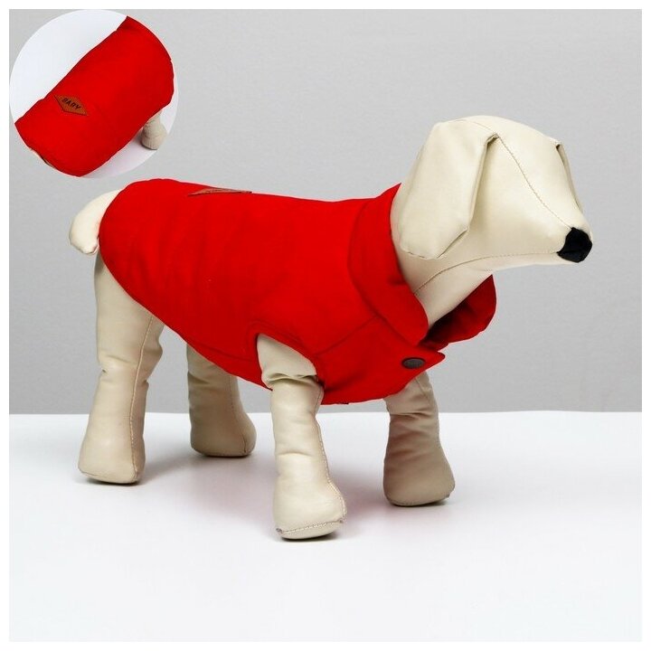 Куртка для собак, M (ДС 25 см, ОШ 37 см, ОГ 37 см), красная - фотография № 1
