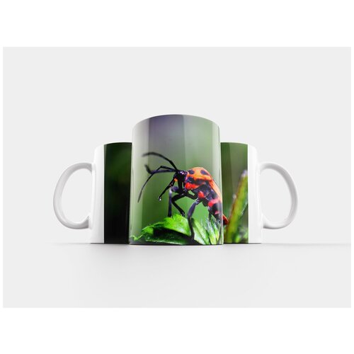 фото Кружка "макрос, шиншилла, природа" 320 мл lotsprints