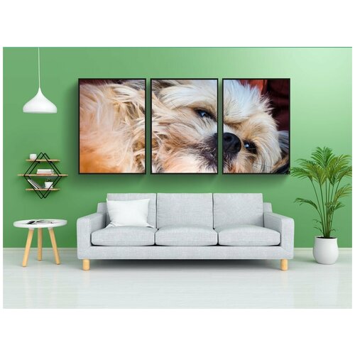 фото Набор модулных постеров для интерьера "собака, животное, домашнее животное" 60x90 см. в тубусе, без рамки lotsprints
