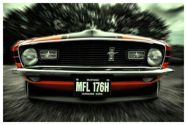 Постер Мустанг фронт (Mustang front) 76см. x 50см.