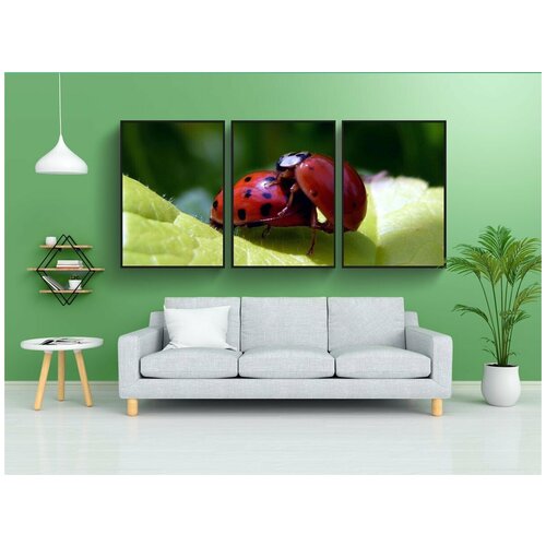 фото Набор модулных постеров для интерьера "божья коровка, жук, насекомое" 60x90 см. в тубусе, без рамки lotsprints