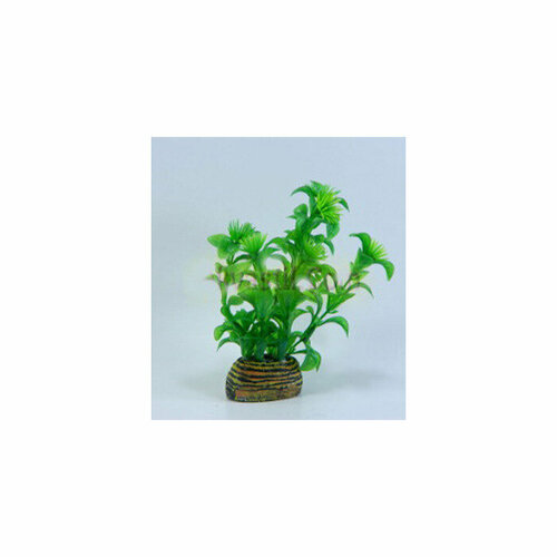 Растение Тритон пластмассовое 13 см 1345