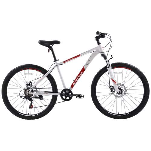 Велосипед TECH TEAM STORM 275х17 белый 2023 NN010447 NN010447 2786800₽