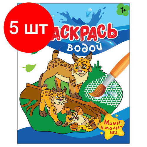 Комплект 5 шт, Раскраска водная 200*250 ТРИ совы 