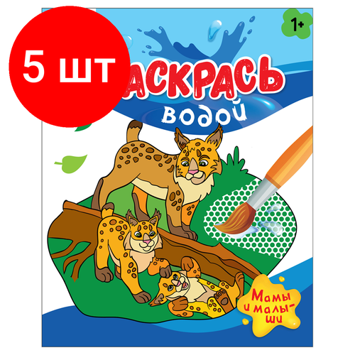 Комплект 5 шт, Раскраска водная 200*250 ТРИ совы Раскрась водой. Мамы и малыши, 8стр.