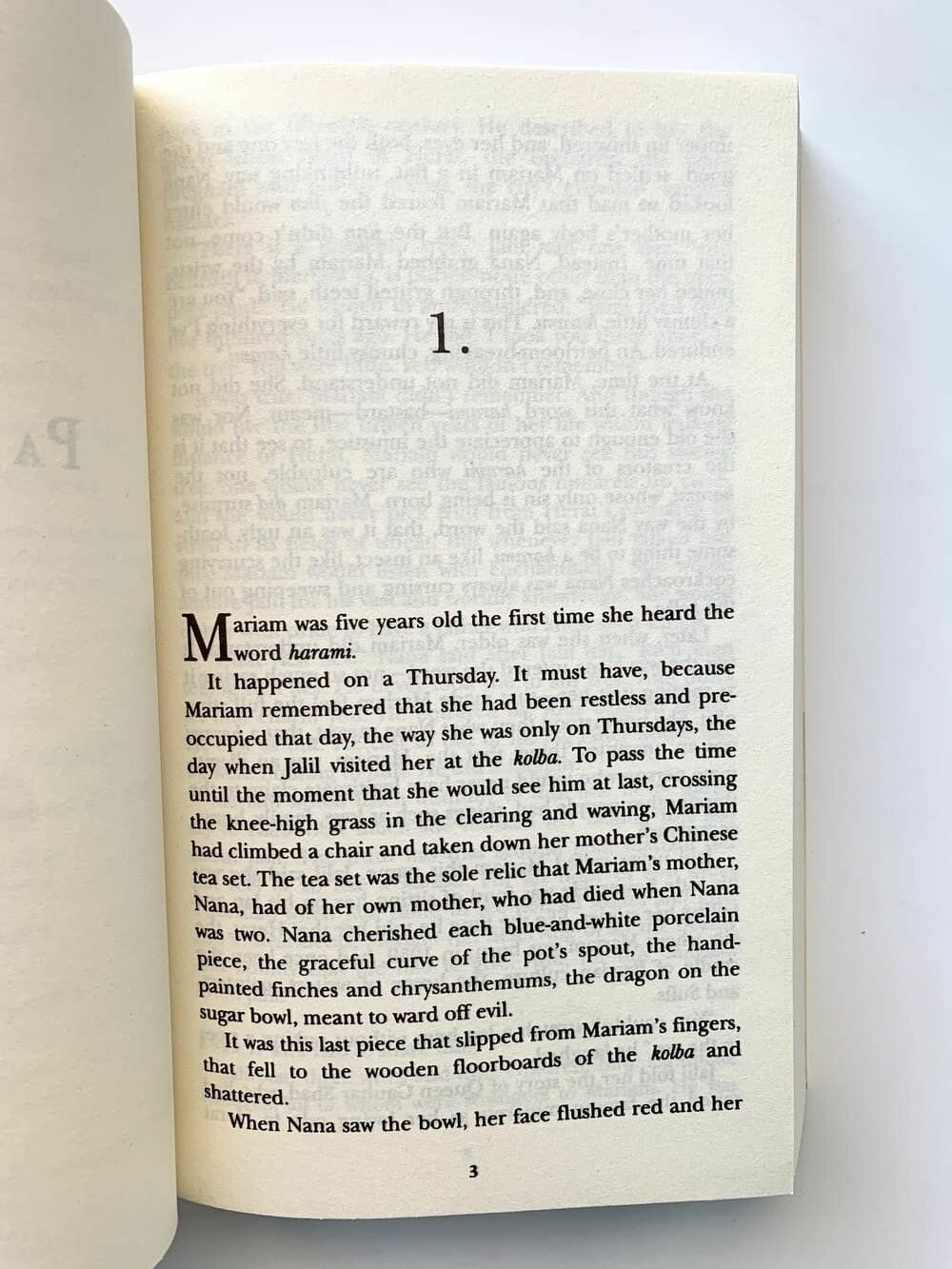 Книга A Thousand Splendid Suns - фото №14
