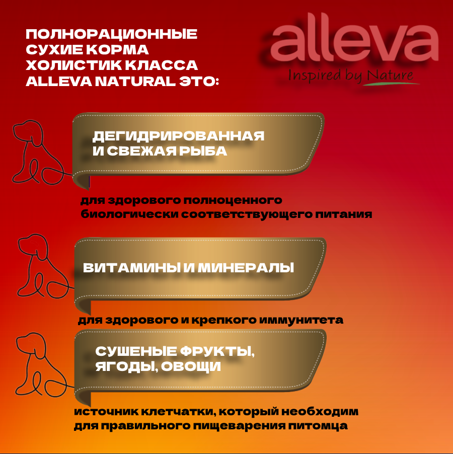 Корм сухой для взрослых собак средних и крупных пород с рыбой и тыквой Natural Alleva/Аллева 12кг Diusapet srl - фото №3