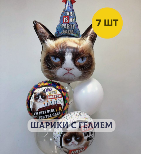 Изображение товара Воздушные шары с гелием надутые на день рождения для мужчины "Сердитый кот и 6 шаров"