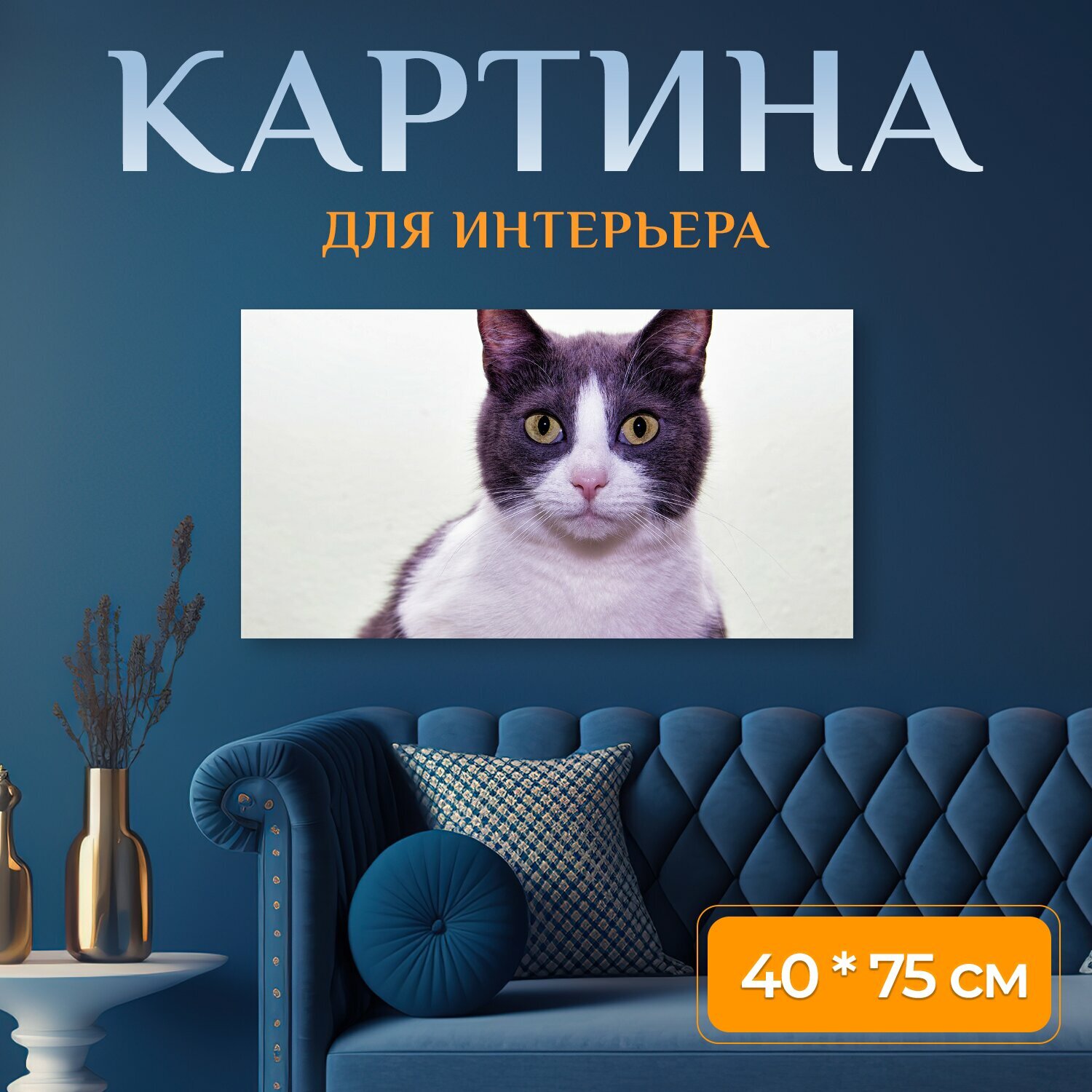 Картина на холсте "Кот домашняя кошка домашнее животное" на подрамнике 75х40 см. для интерьера