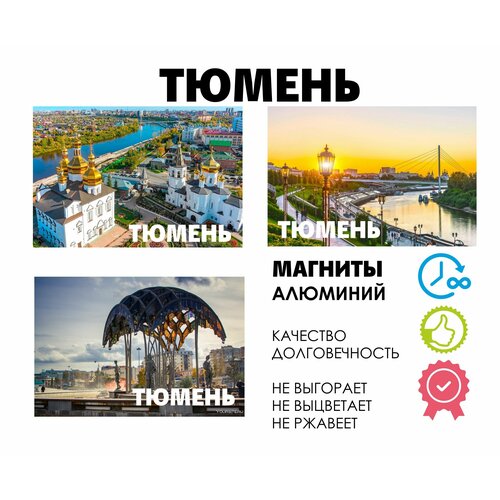 Набор магнитов город России Тюмень