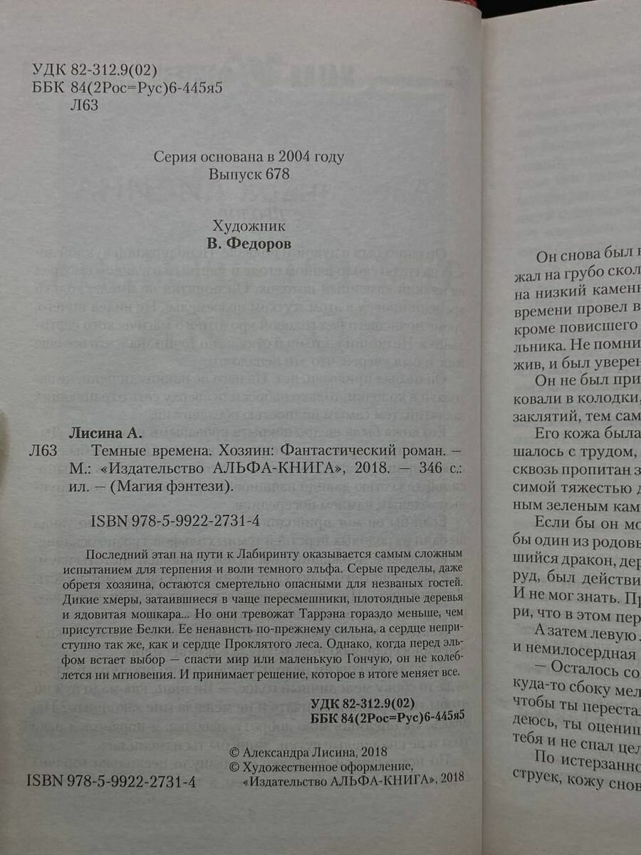 Темные времена. Хозяин (Лисина Александра) - фото №3