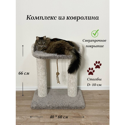 Когтеточка 