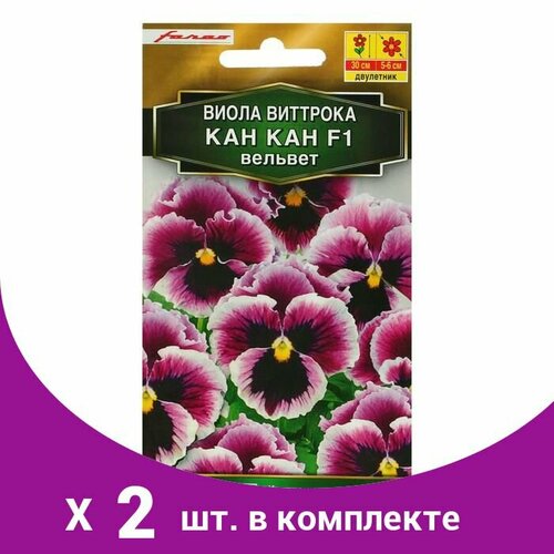 Семена цветов Виола 'Кан Кан' F1 вельвет, Дв, 7 шт (2 шт) семена виола кан кан белая f1 аэлита 7шт