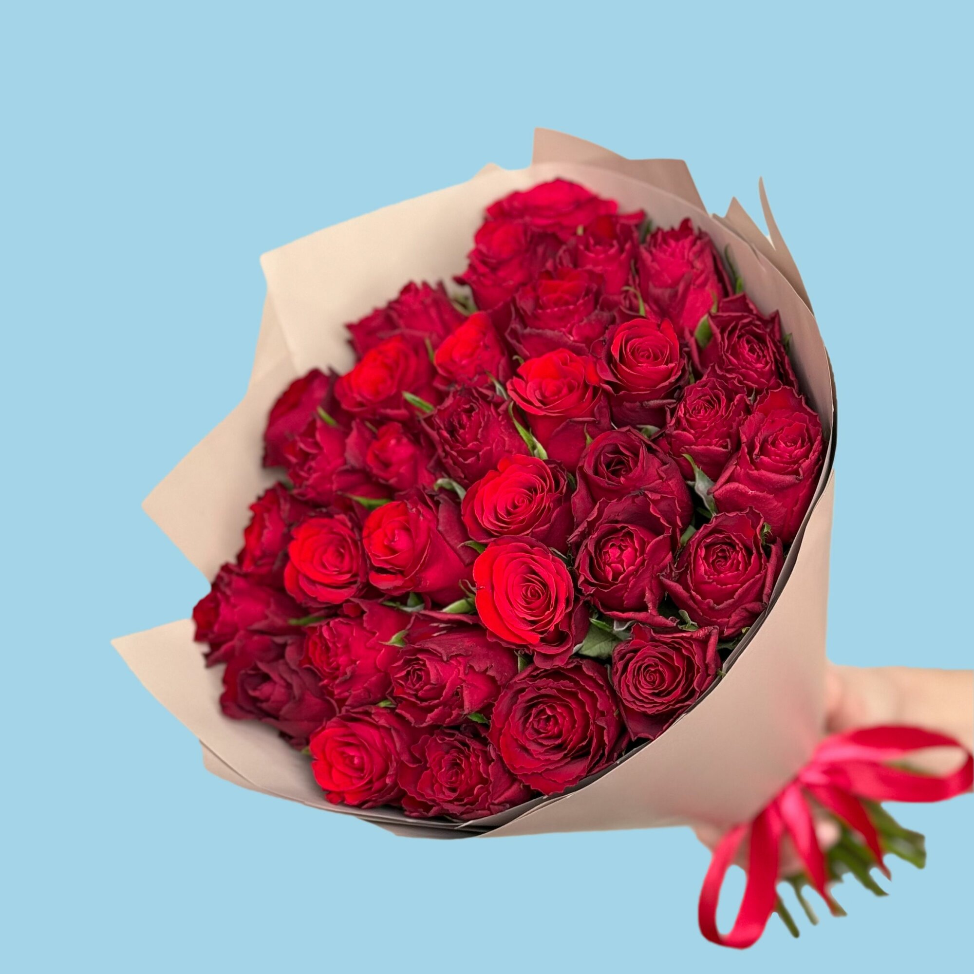 Букет живых живых цветов из 35 красных роз 35 см в упаковке