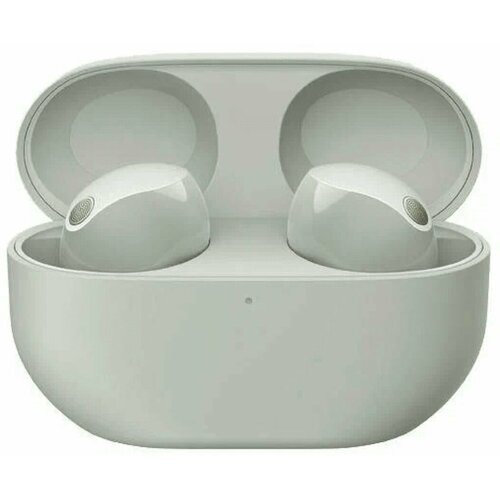 Наушники TWS Sony WF-1000XM5 white 45263₽
