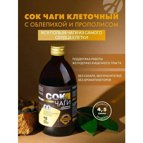 Сок Чаги клеточный с облепихой и прополисом, 450 мл
