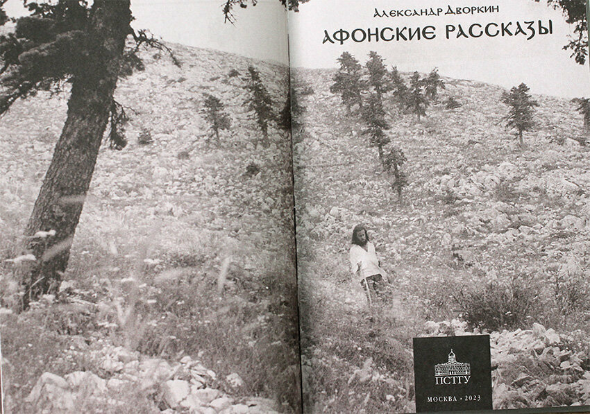 Афонские рассказы (Дворкин Александр Леонидович) - фото №3