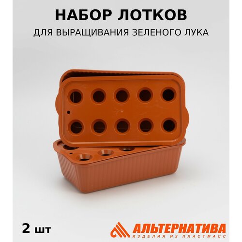 Контейнер для выращивания лука набор 2 штуки