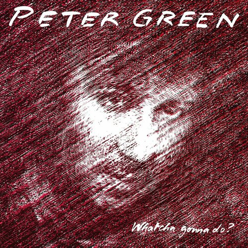Виниловая пластинка Peter Green / Whatcha Gonna Do? (Silver) (1LP) виниловая пластинка green peter whatcha gonna do coloured 8719262029798