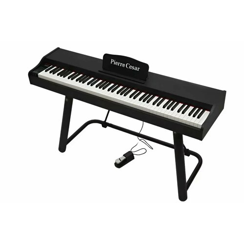 Цифровое компактное пианино Pierre Cesar DP-121-HF-BK 88 клавиш с одиночной педалью без подставки 42762₽