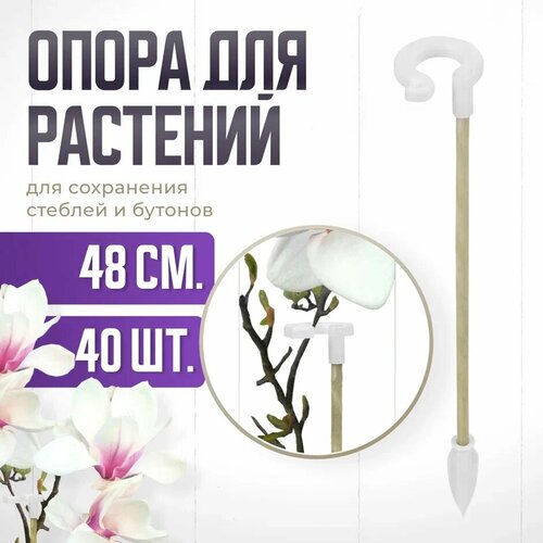 Опора для растений с кольцом, колышки садовые для рассады, для орхидей , комнатных цветов 48 см 40 штук белый, зеленый