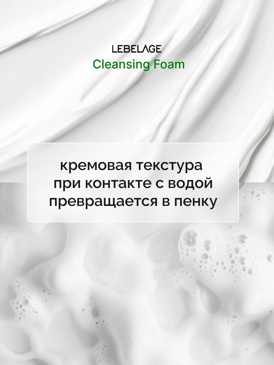 LEBELAGE Пенка для умывания, для снятия остатков макияжа, для ухода за кожей лица, шеи и зоны декольте увлажняющая с экстрактом Алоэ Cleansing Foam Aloe, корейская косметика. 100 мл — фото 1
