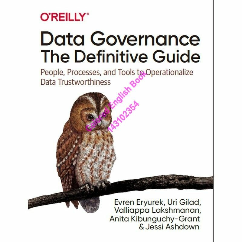 Data Governance: The Definitive Guide