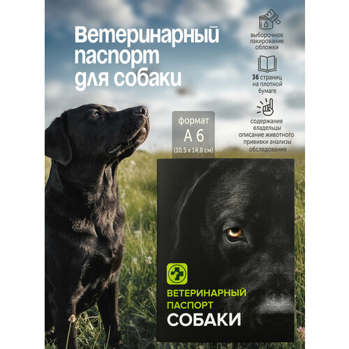 фото Ветеринарный паспорт для собак, размер 15x11 см, черный/белый, zoomoda
