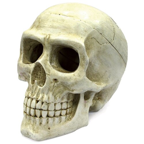 [282.ART-2212120] ArtUniq Large Skull - Декоративная композиция Большой череп 20x12,7x15,8 см (1 шт)