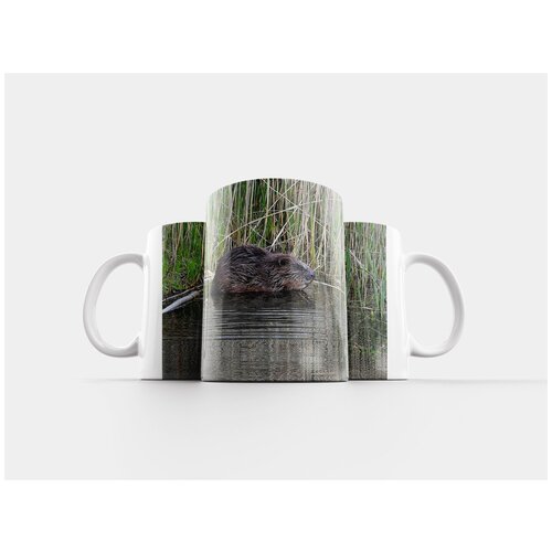 фото Кружка "бобр, воды, тростник" 320 мл lotsprints