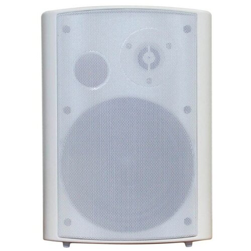 Акустика трансляционная трансформаторная DSS DSSWS-440W 966800₽