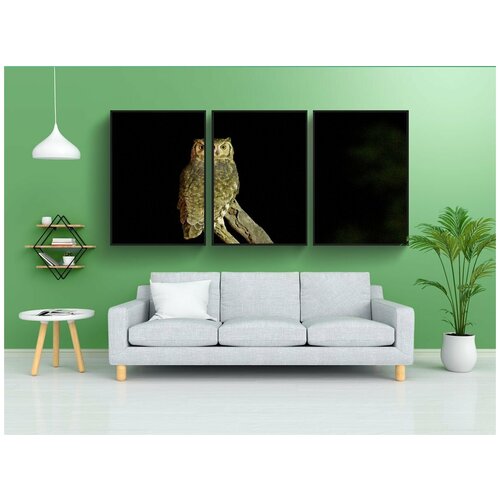 фото Набор модулных постеров для интерьера "сова, птица, дикая природа" 60x90 см. в тубусе, без рамки lotsprints