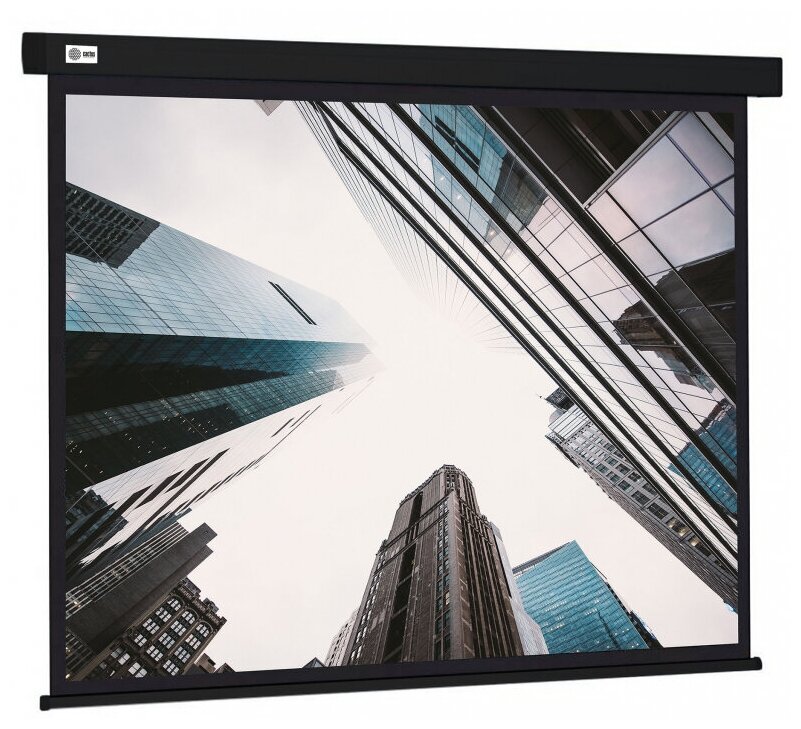 Рулонный cactus Wallscreen CS-PSW-152X203-BK