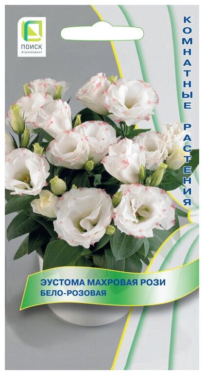 Семена Эустома махровая Рози бело-розовая комнатные 5 шт.