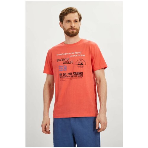 фото Футболка кор.рук. baon футболка с принтом baon, размер: xl, розовый