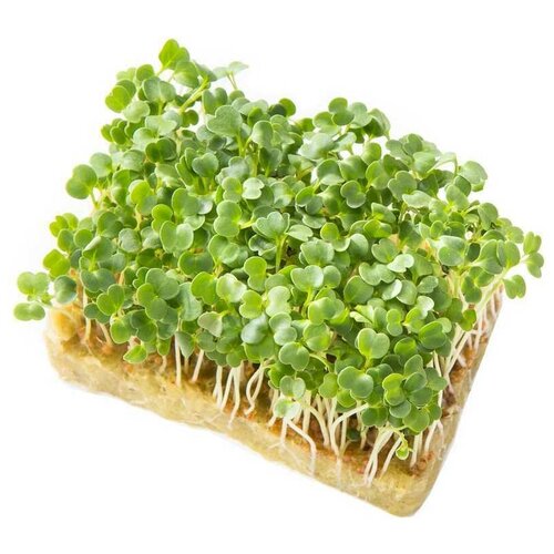 Коврик для выращивания микрозелени (экологически чистый минераловатный субстрат - 1 шт.)