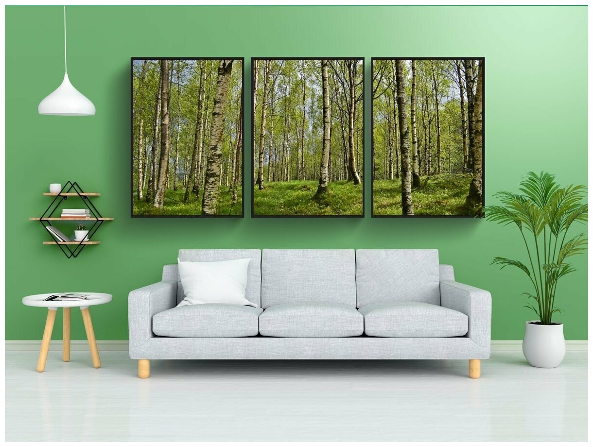 Модульный постер "Березы березовый лес лес" 180x90 см. из 3х частей в тубусе без рамки