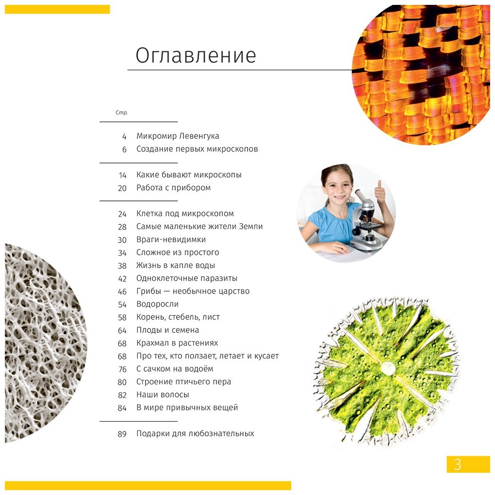Микроскоп Discovery Micro Solar монокуляр 40640x на 3 объек. оранжевый - фото №19