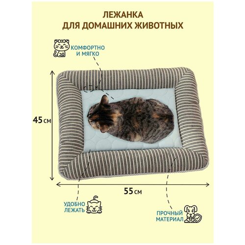 Лежак для домашних животных ZES, прямоугольная лежанка для собак и кошек с бортиками, голубого цвета, размер 55х45 см