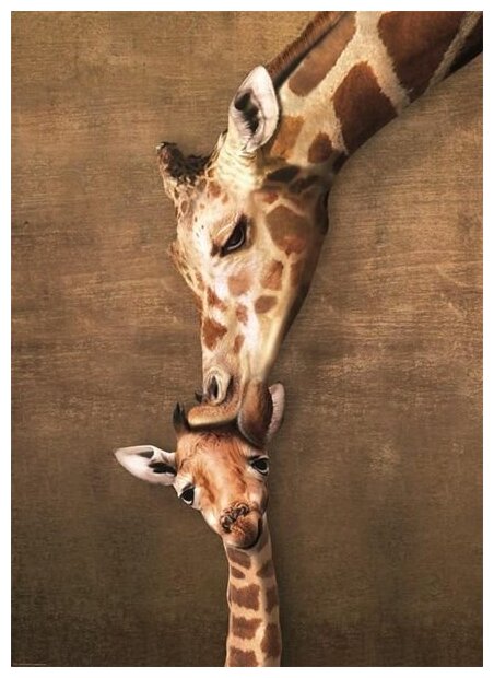 Пазл Eurographics Жирафы - материнский поцелуй, 1000 элементов (6000-0301) - фото №2