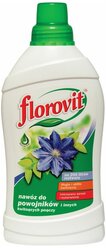 Удобрение Florovit, жидкое, для ломоноса (клематиса), жимолости, глицинии и цветущих вьющихся растений, 1 л