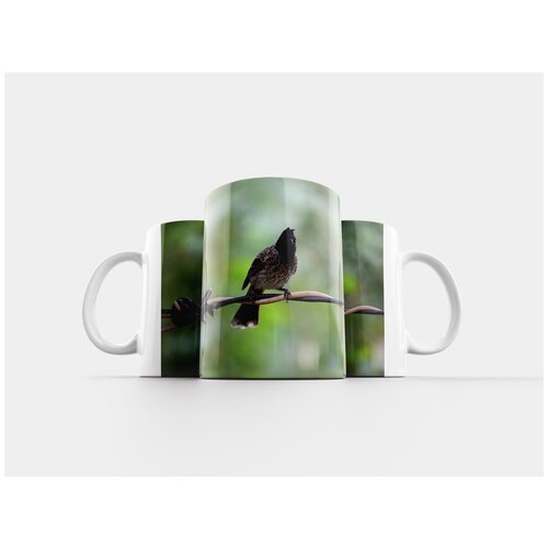 фото Кружка "птица, природа, бюльбюль" 320 мл lotsprints
