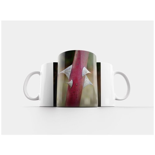 фото Кружка "шипы дикой розы, крупным планом, острый" 320 мл lotsprints