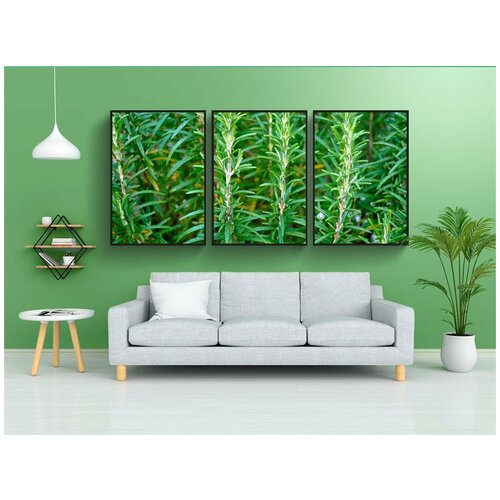 фото Набор модулных постеров для интерьера "розмари, приправа, травы" 60x90 см. в тубусе, без рамки lotsprints