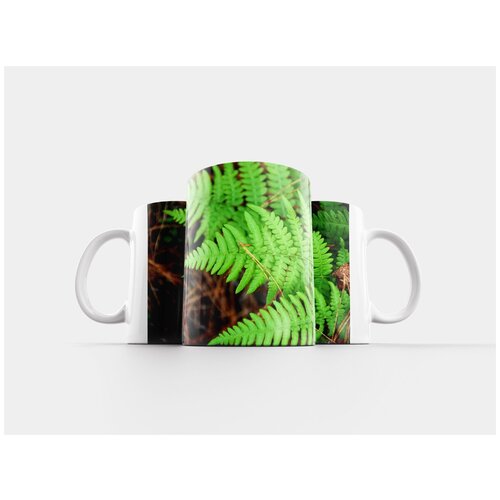 фото Кружка "зеленый, листья, папоротник" 320 мл lotsprints