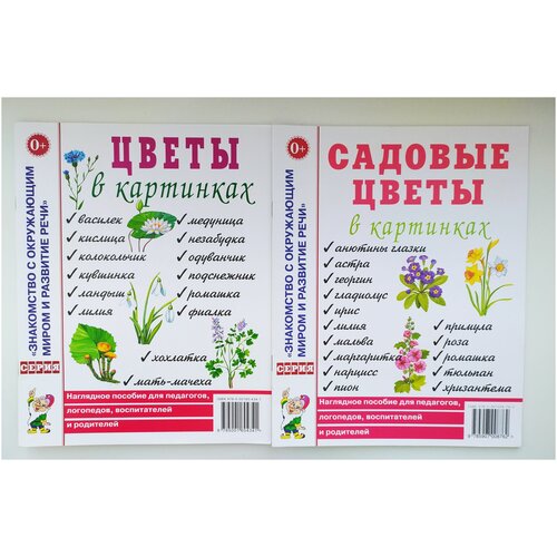 Садовые цветы в картинках. Наглядное пособие для педагогов, логопедов, воспитателей и родителей хризантема лилия хоек рэд