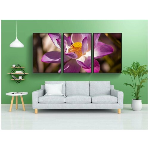 фото Набор модулных постеров для интерьера "лотос, цветок, завод" 60x90 см. в тубусе, без рамки lotsprints