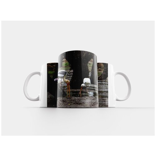 фото Кружка "нарисованный аист, аист, евразийская колпица" 320 мл lotsprints